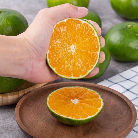 Quýt đường tươi ngon, VietGAP